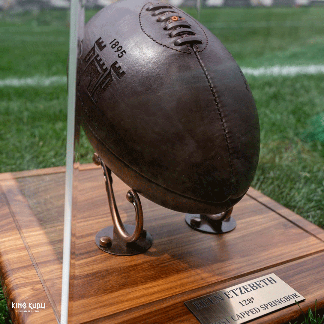 LEATHER RUGBY BALLS